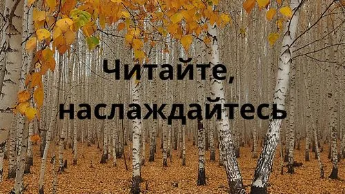 «Осень  - самое уютное время для чтения»
